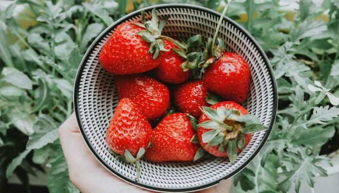 New study links daily strawberry consumption to improved heart health